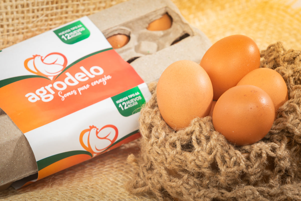 ¿Por qué consumir huevos Agrodelo? — AGRODELO